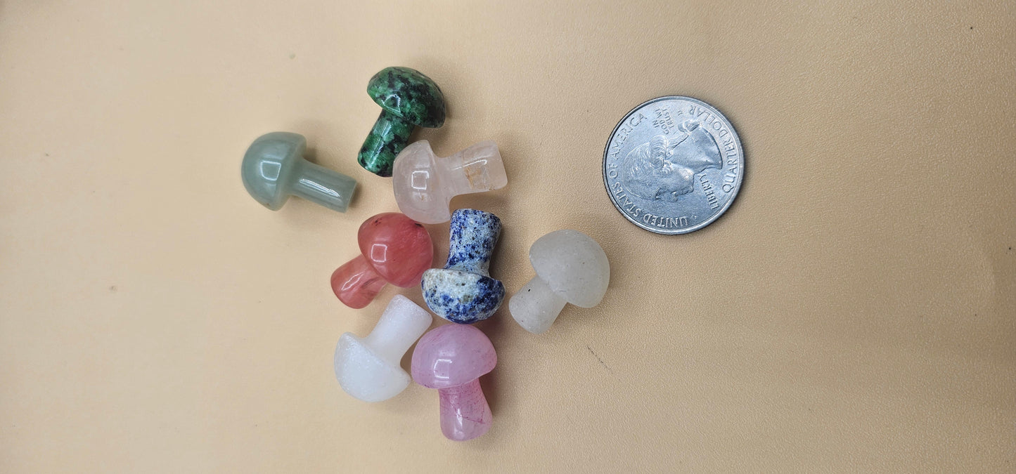 Various Material Mushroom