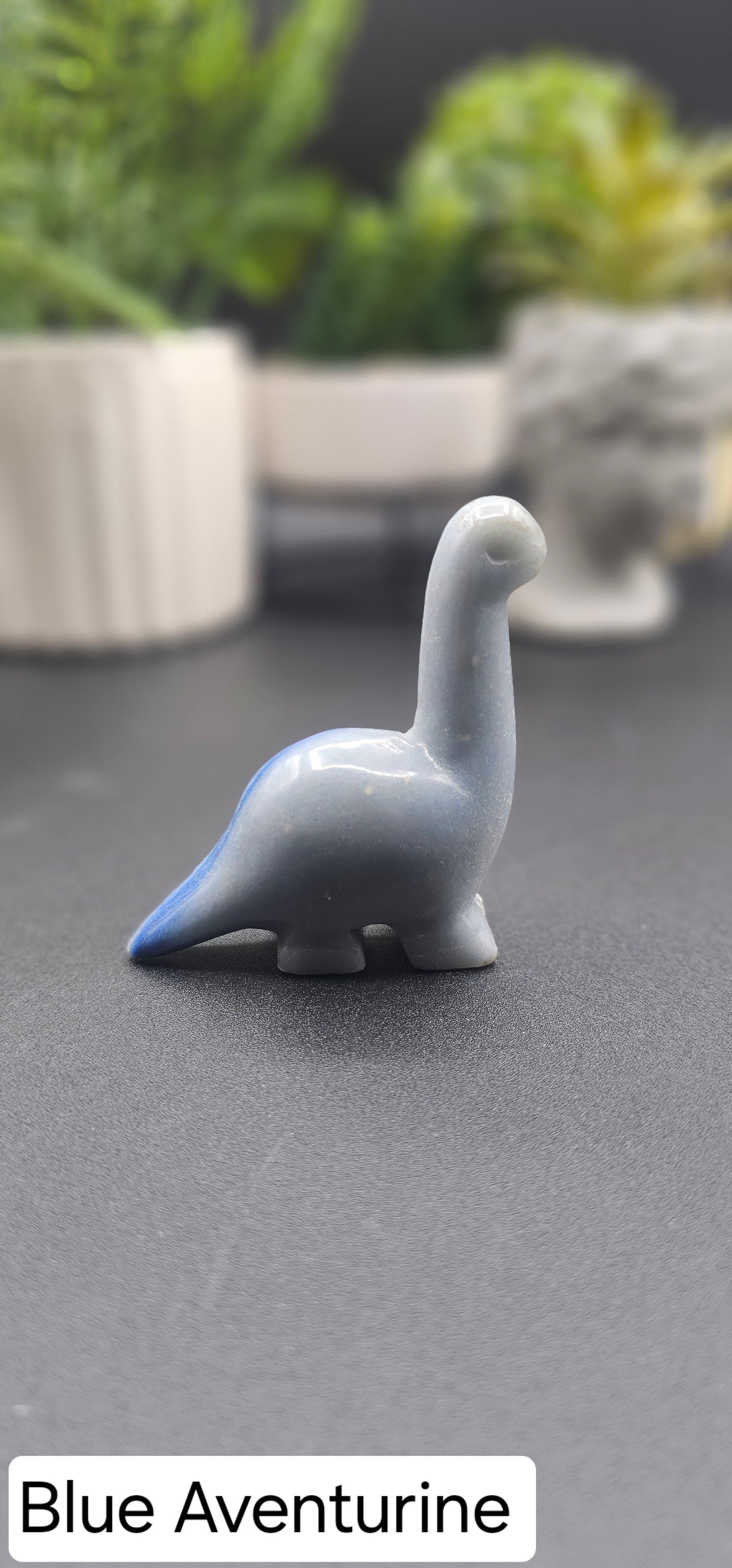 Long Neck Dinos