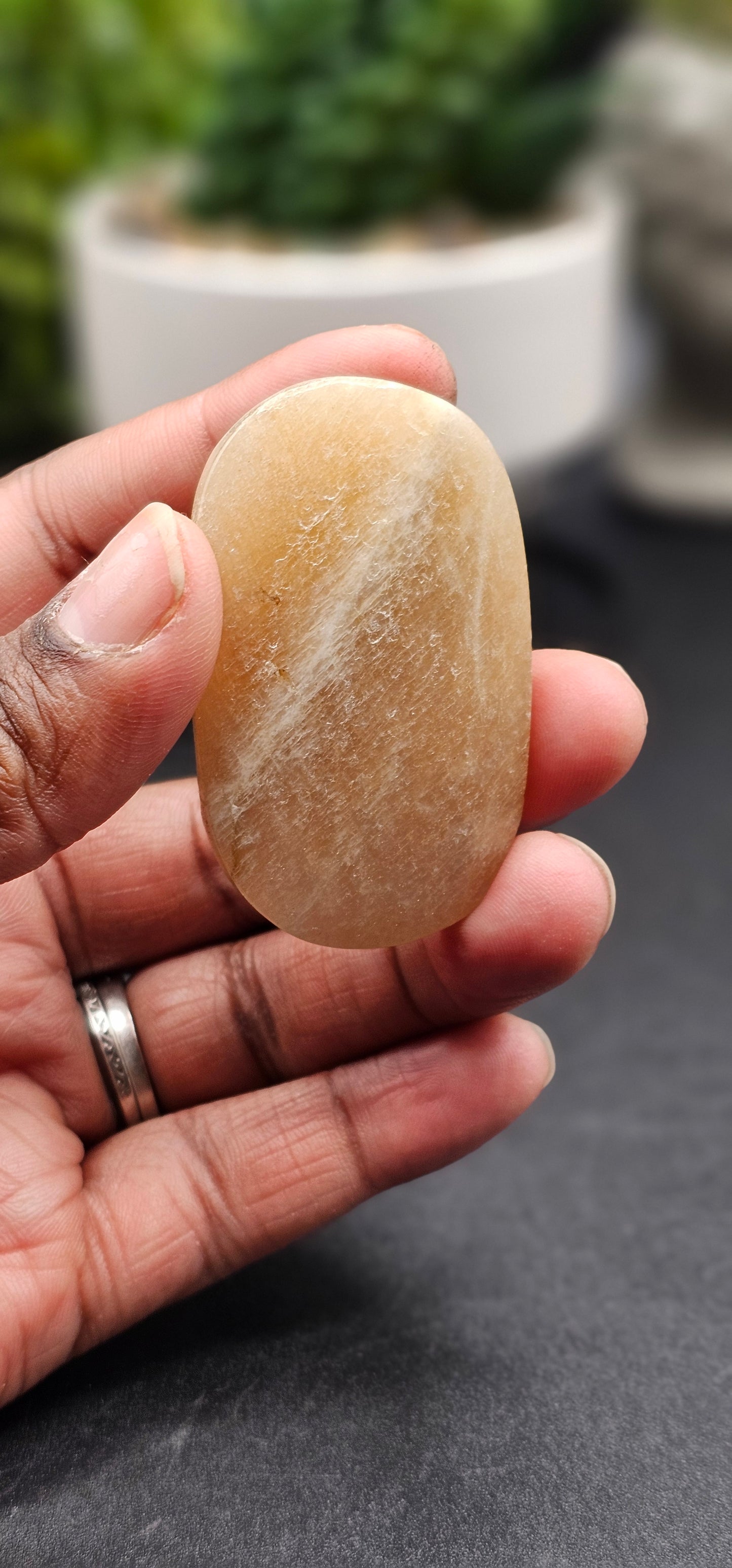 Moonstone Palm