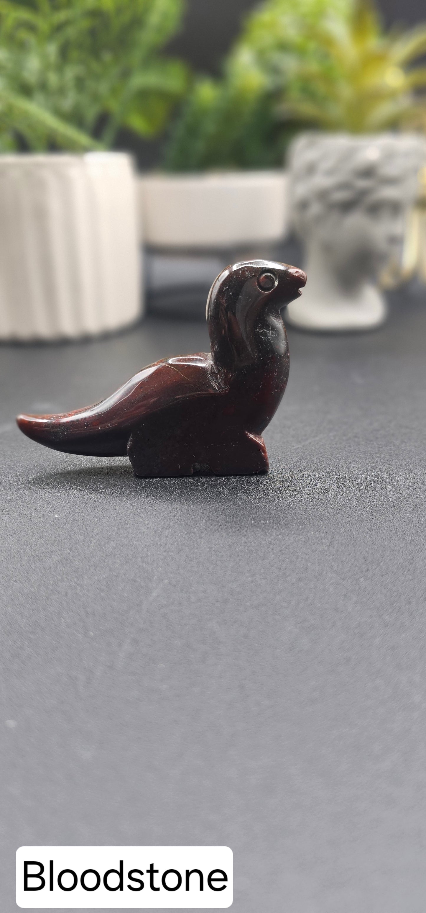 Long Neck Dinos