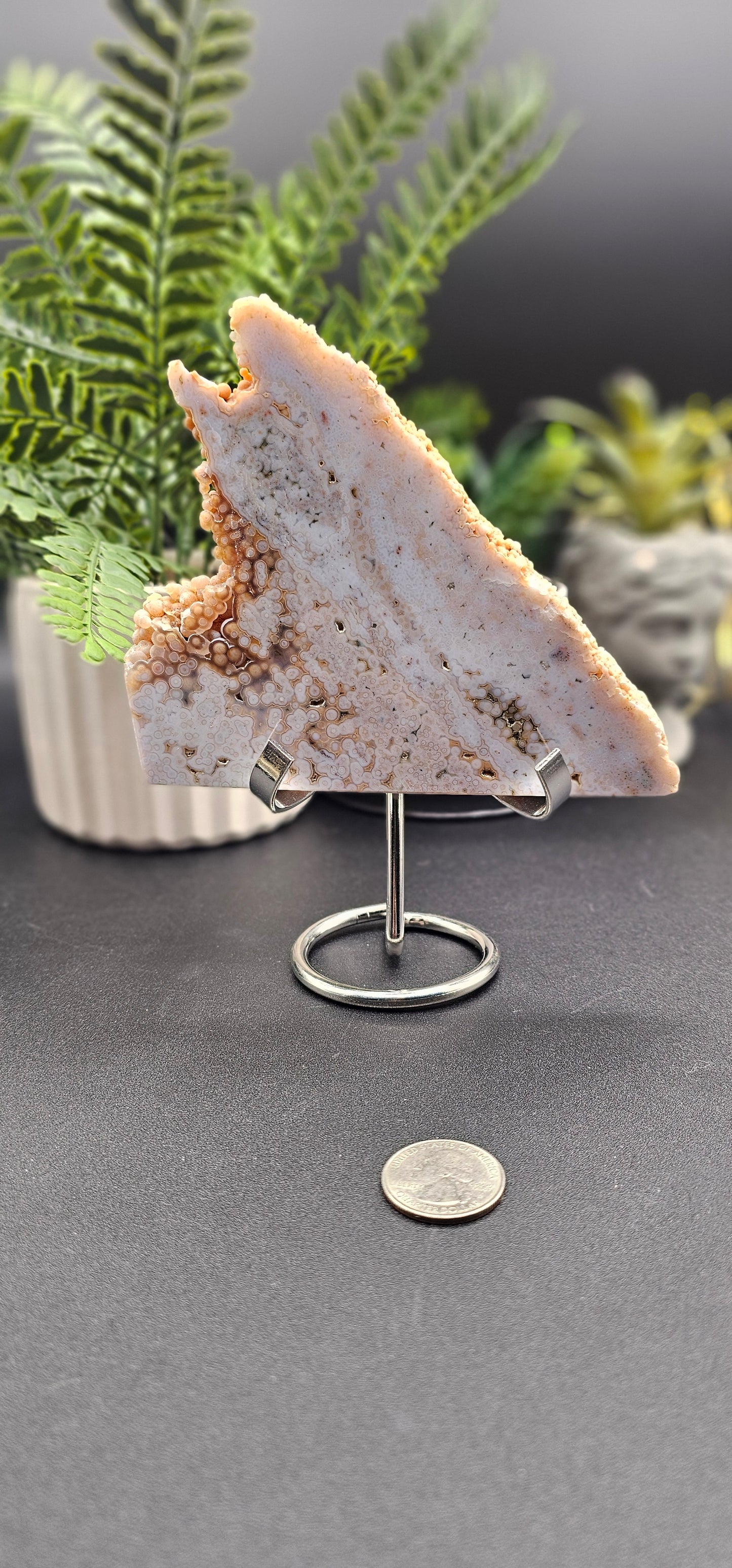 Ocean Jasper Slab