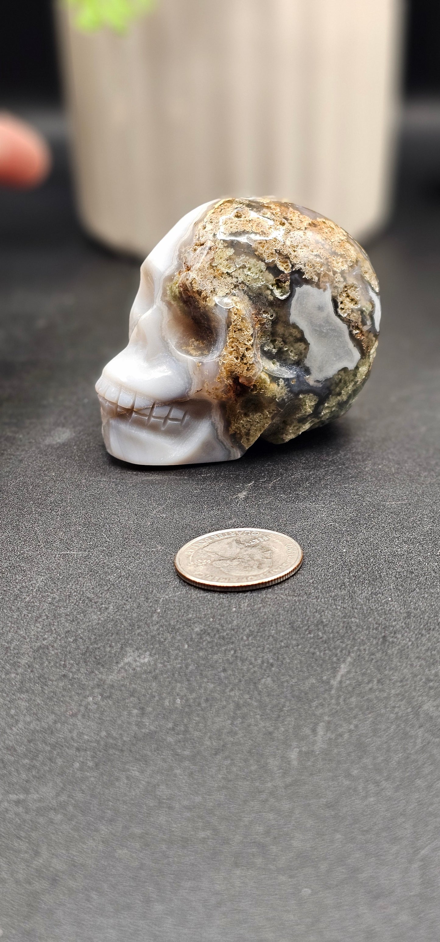 Moss Agate Skull