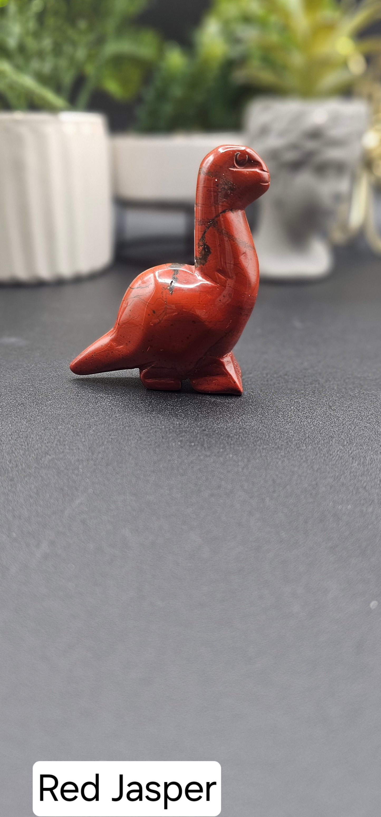Long Neck Dinos