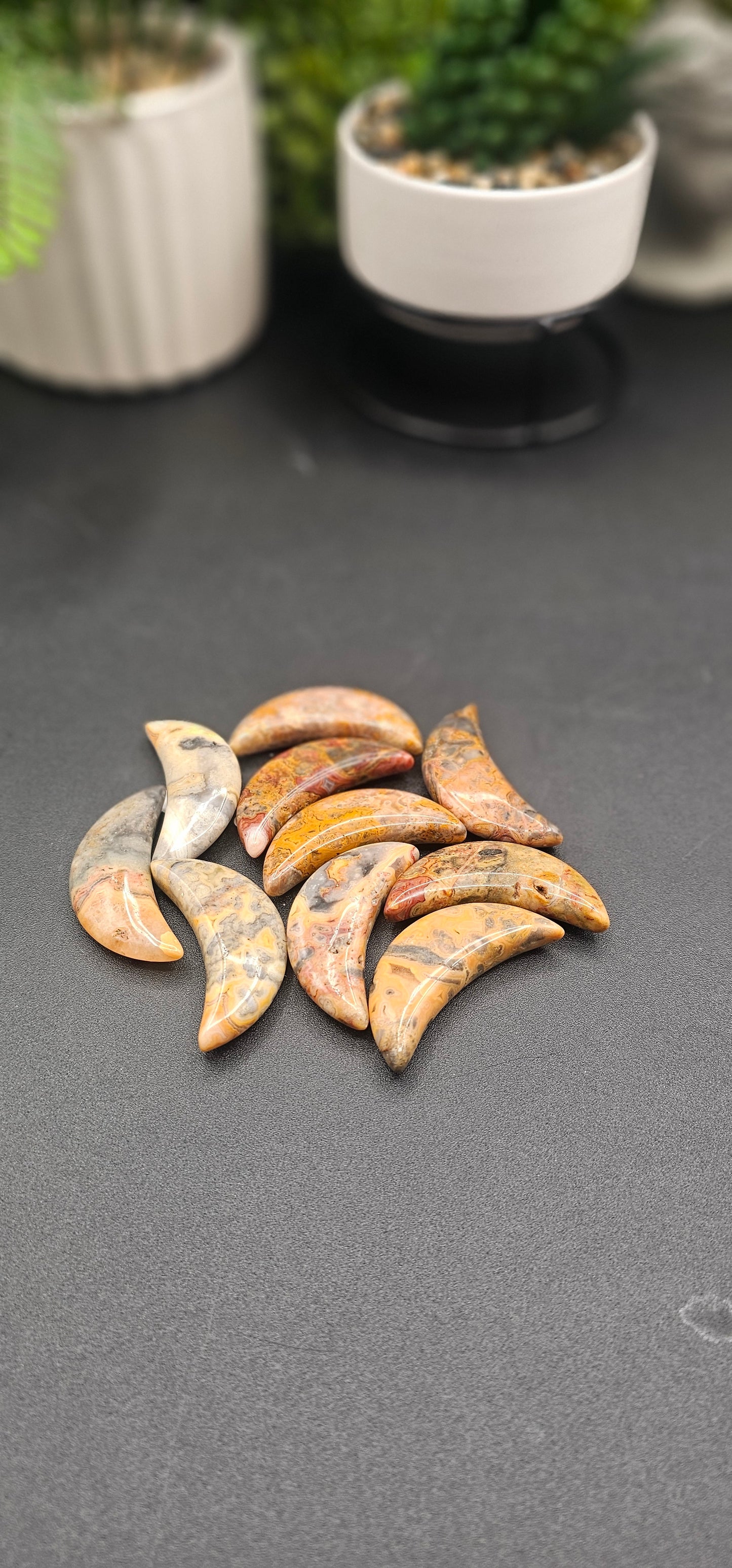 Mexican Crazy Lace Moons