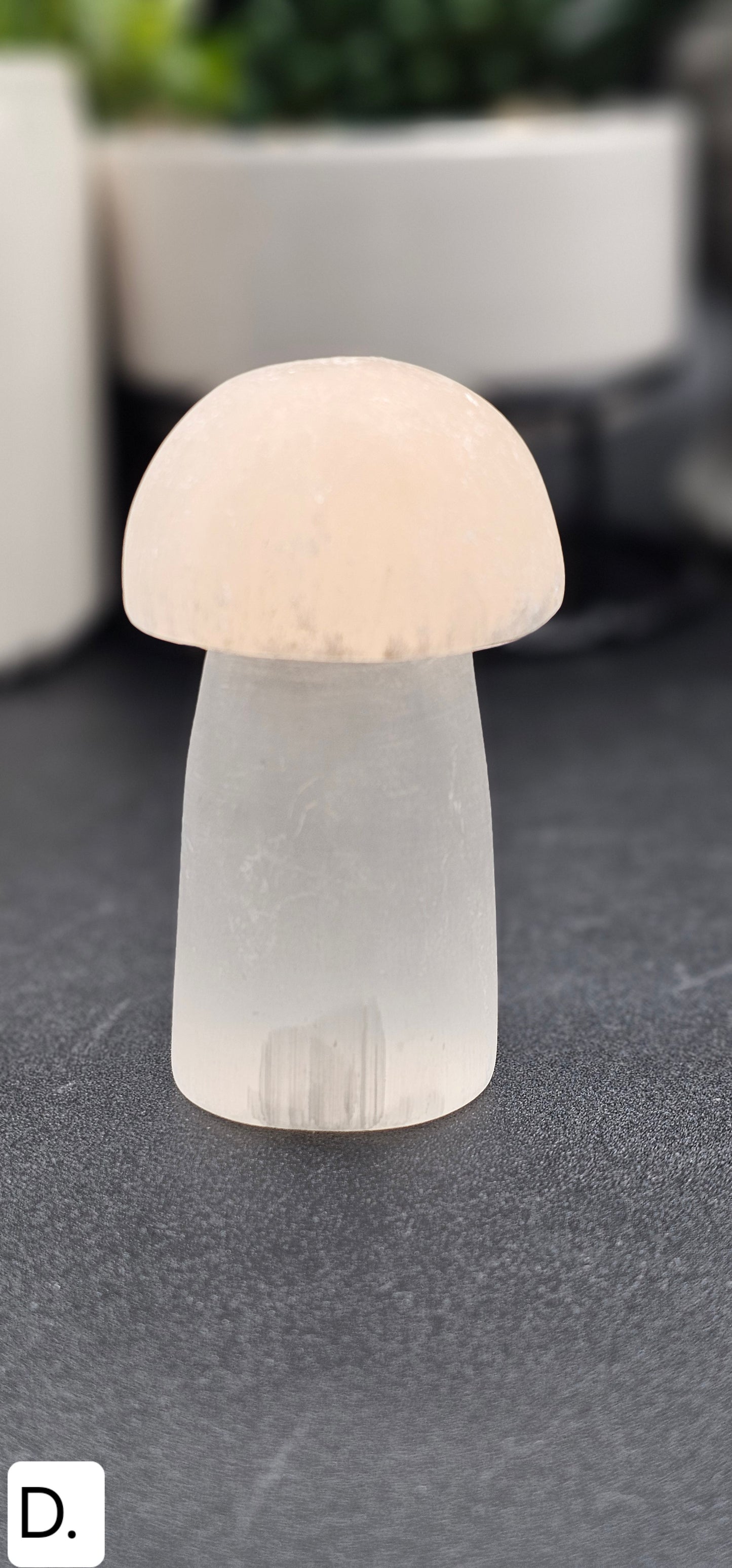 Selenite Mushroom