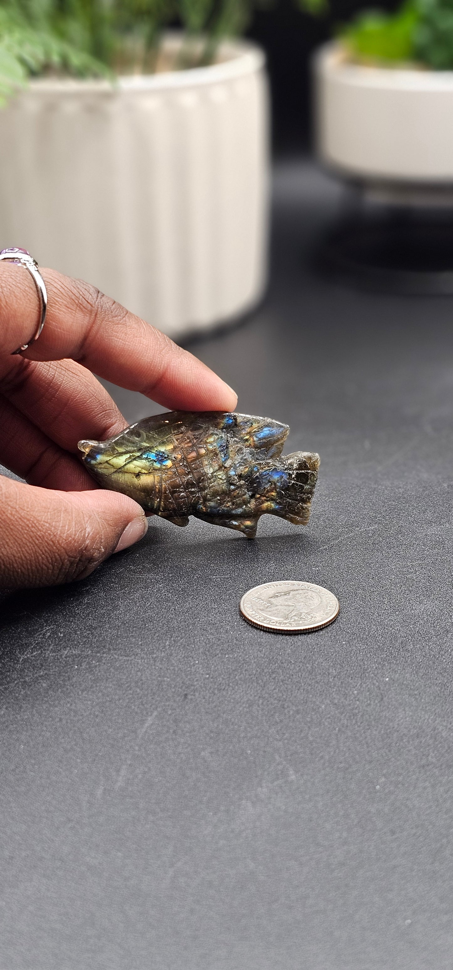 Labradorite Fish