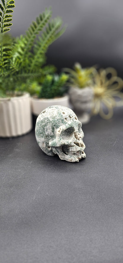 Tree Agate Skull