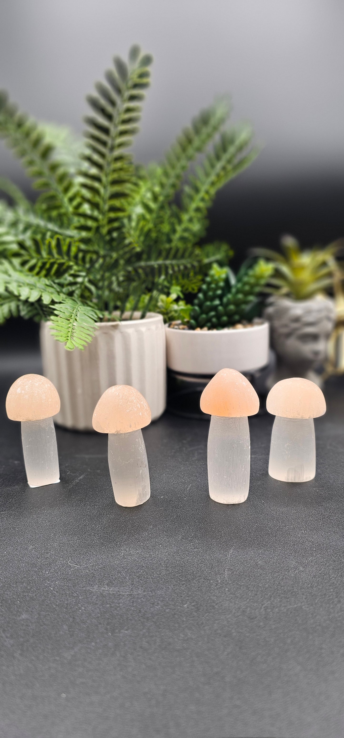 Selenite Mushroom