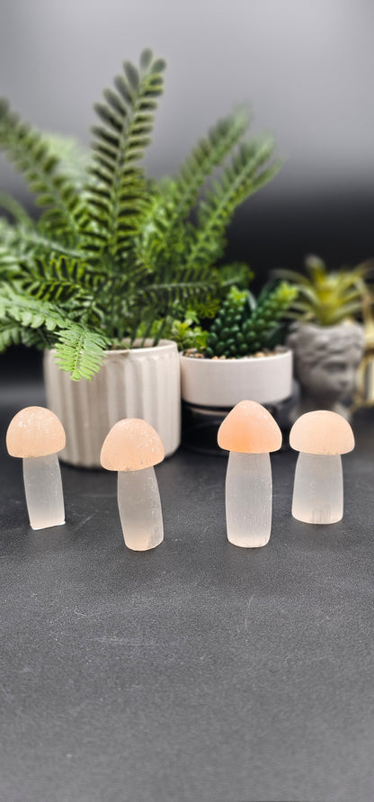 Selenite Mushroom