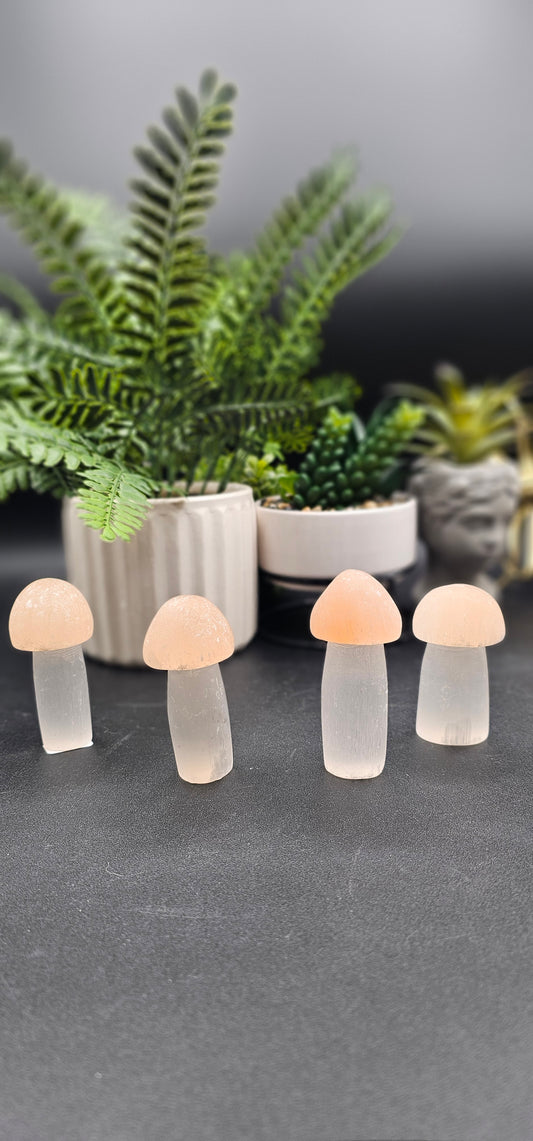 Selenite Mushroom