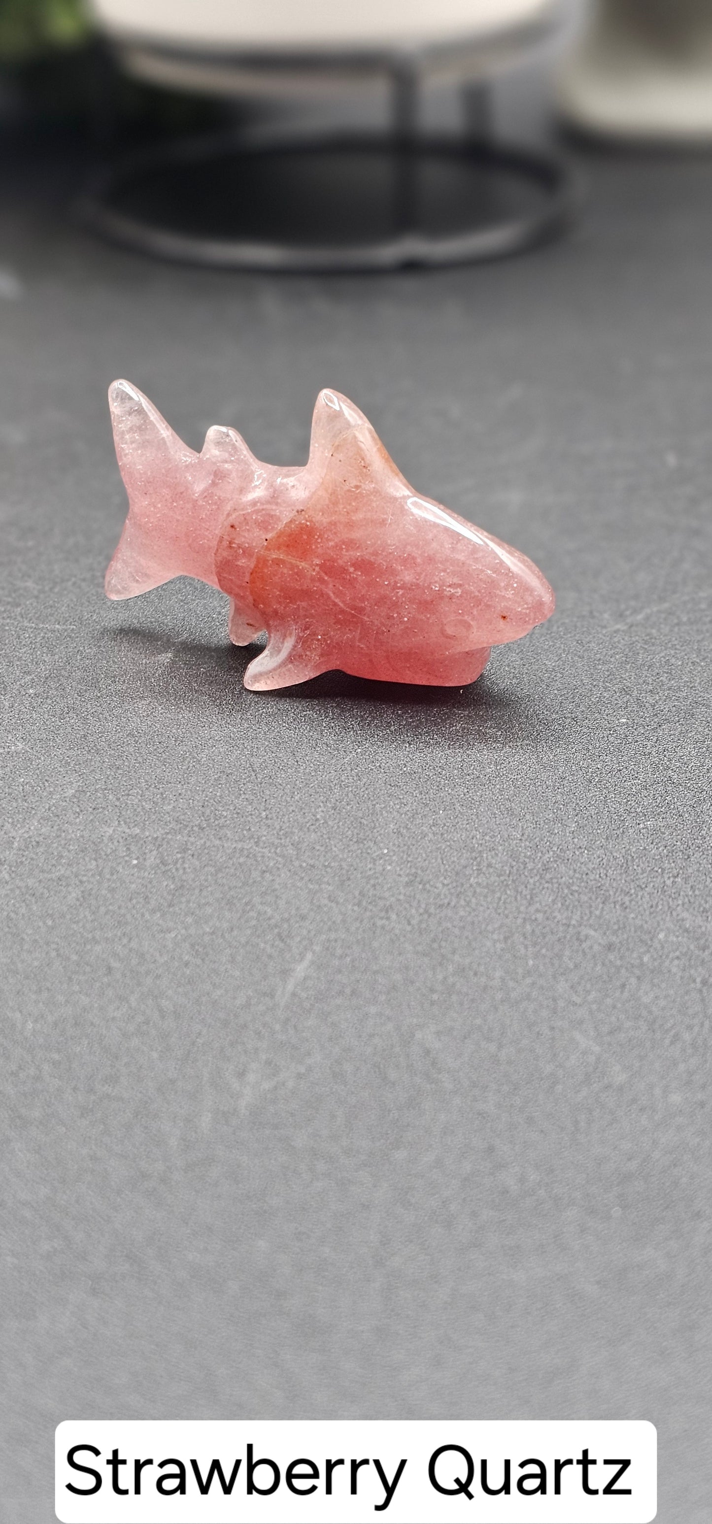 Small Shark