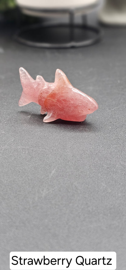 Small Shark
