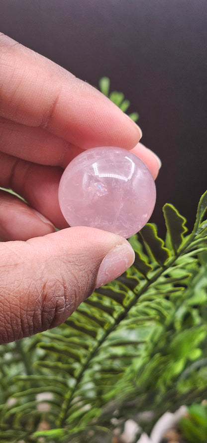 Small Six Star Flash Rose Quartz Spheres