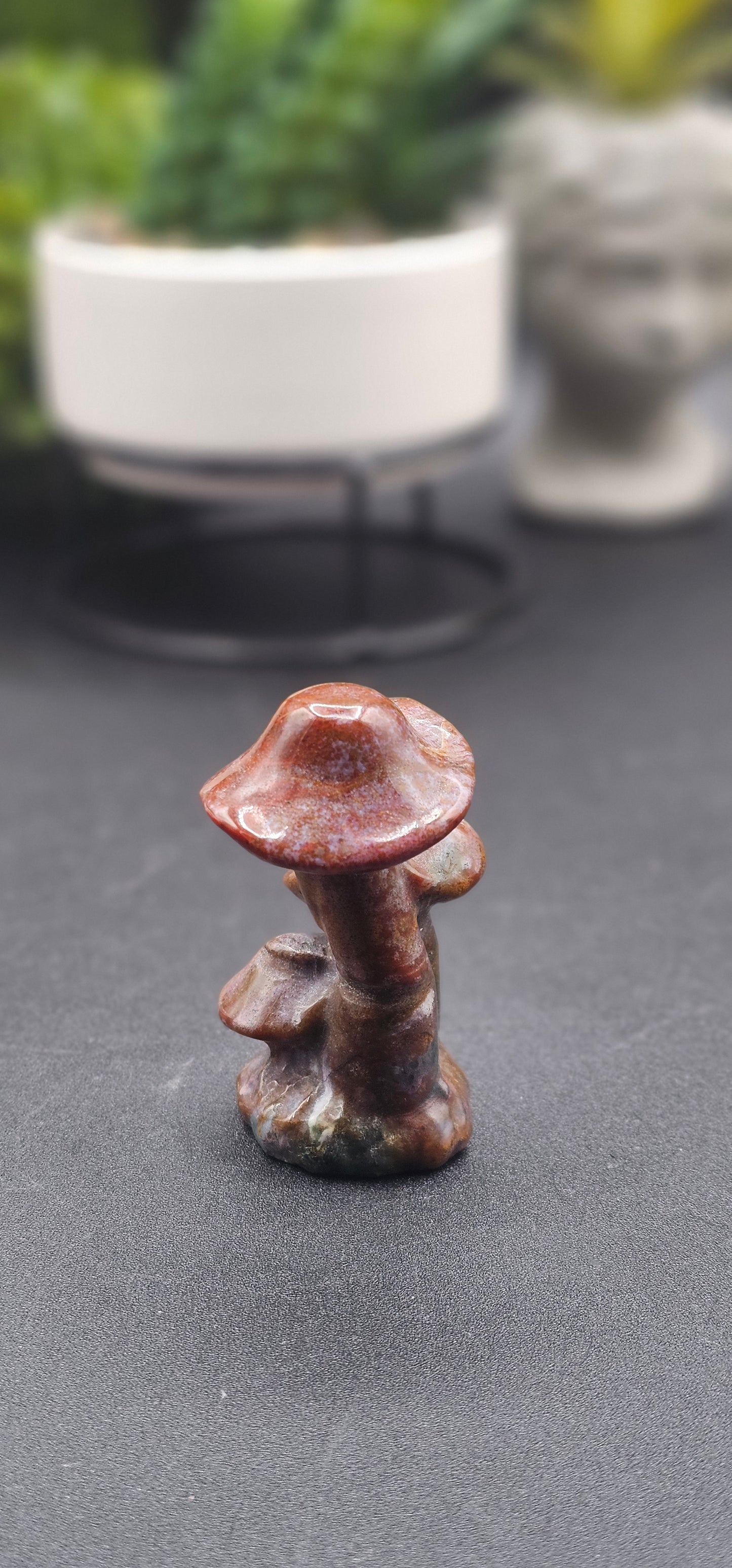 Ocean Jasper Mushroom Cluster