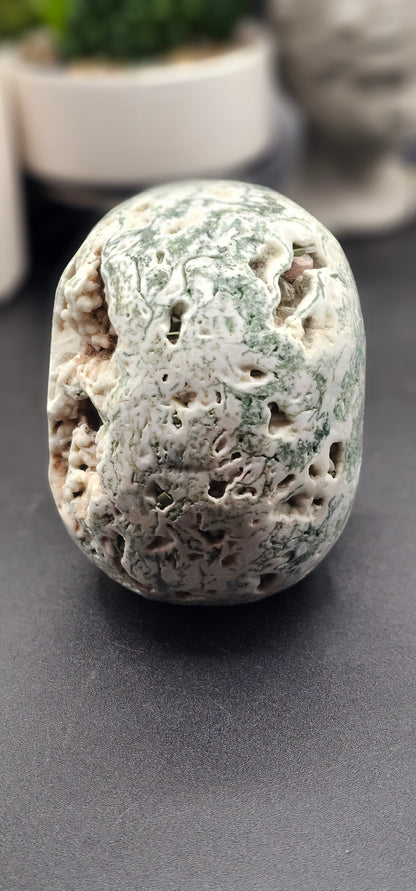 Tree Agate Skull