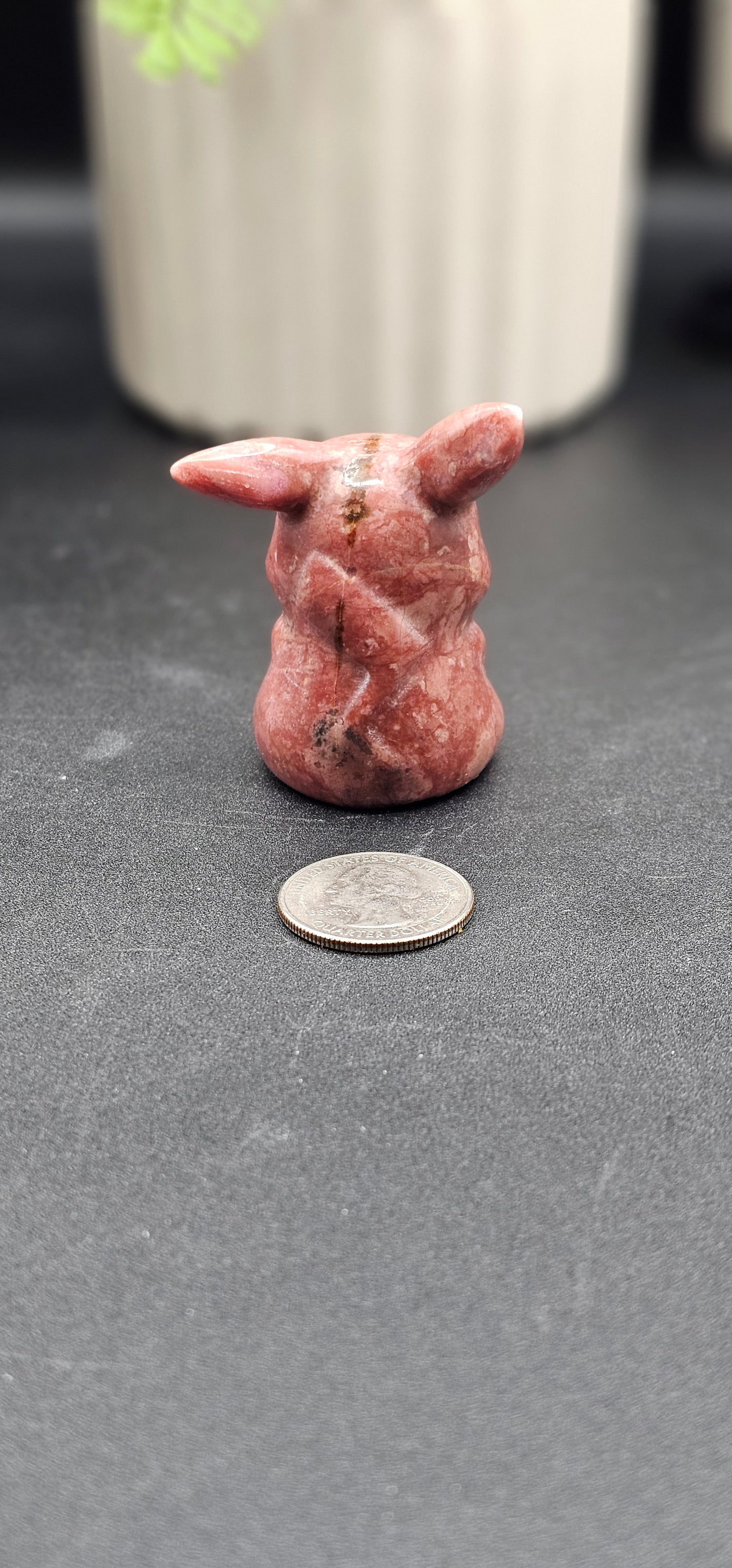 Coral Pikachu
