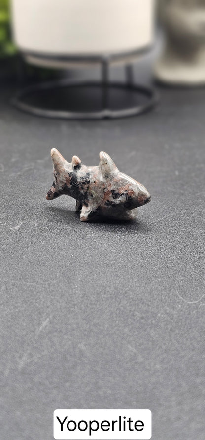 Small Shark