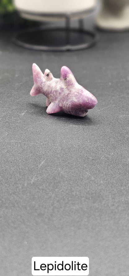 Small Shark