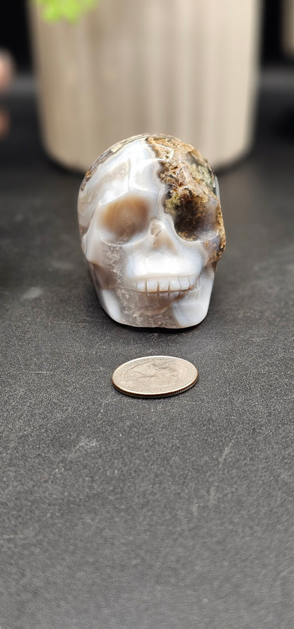 Moss Agate Skull