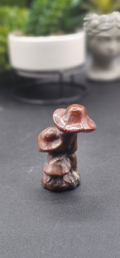 Ocean Jasper Mushroom Cluster