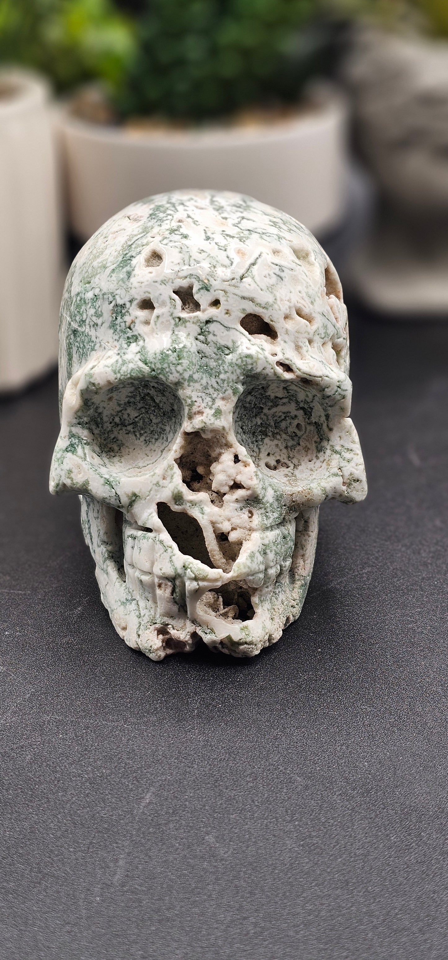Tree Agate Skull