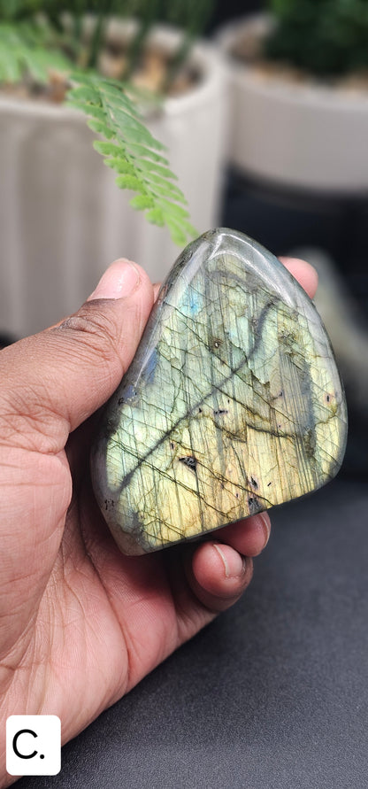 Polished Labradorite Free Form