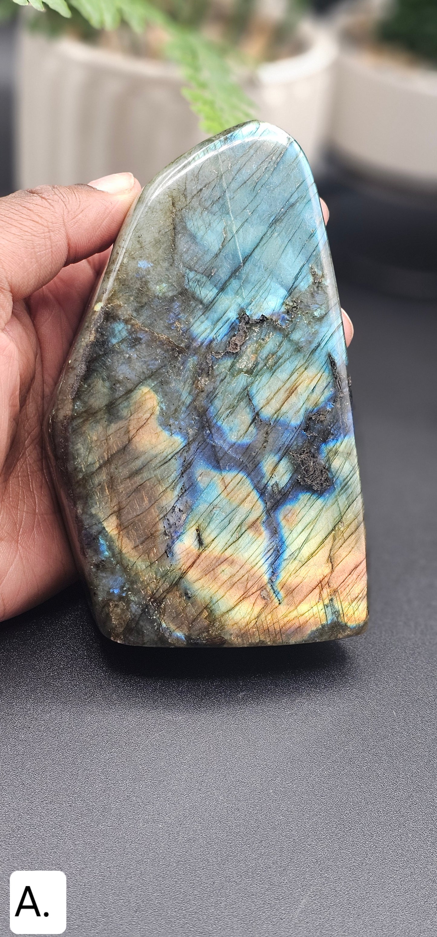 Polished Labradorite Free Form
