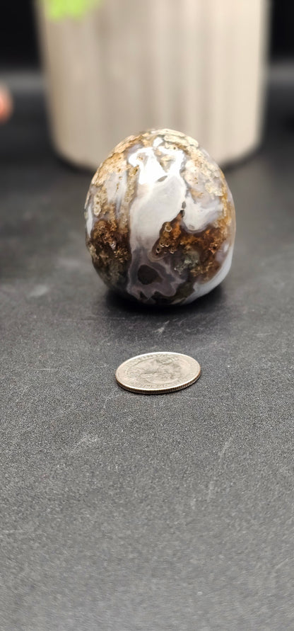 Moss Agate Skull