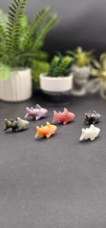 Small Shark
