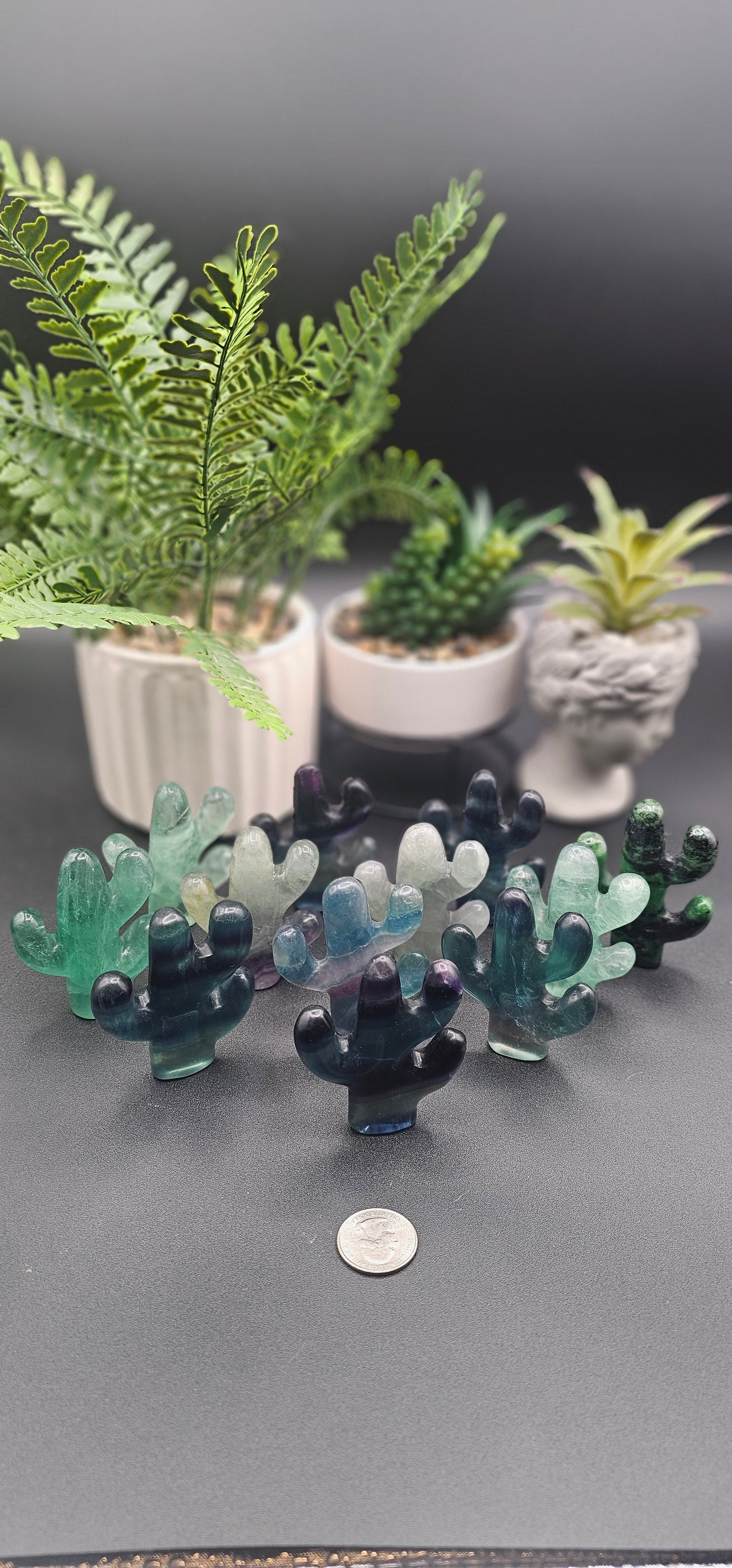 Beautiful Fluorite Saguaro Cactus