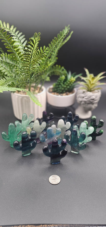Beautiful Fluorite Saguaro Cactus
