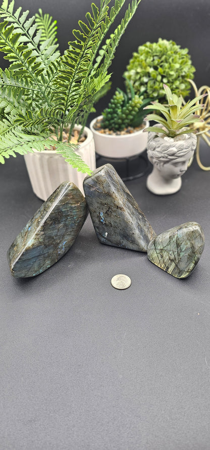 Polished Labradorite Free Form