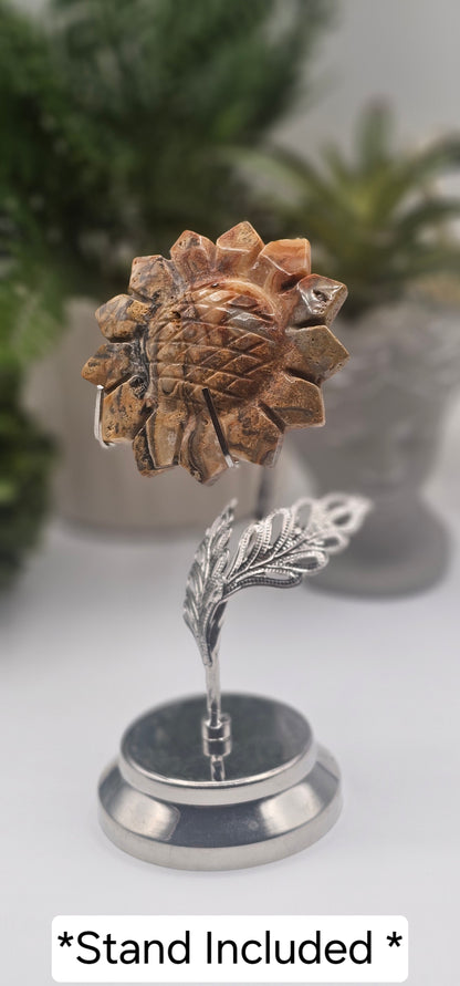 Crazy Lace Agate Sunflower w/ Stand
