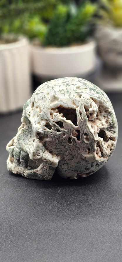 Tree Agate Skull