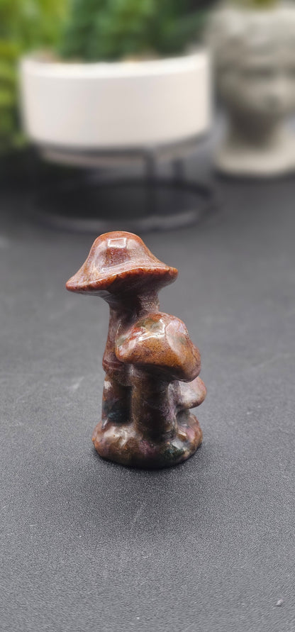 Ocean Jasper Mushroom Cluster