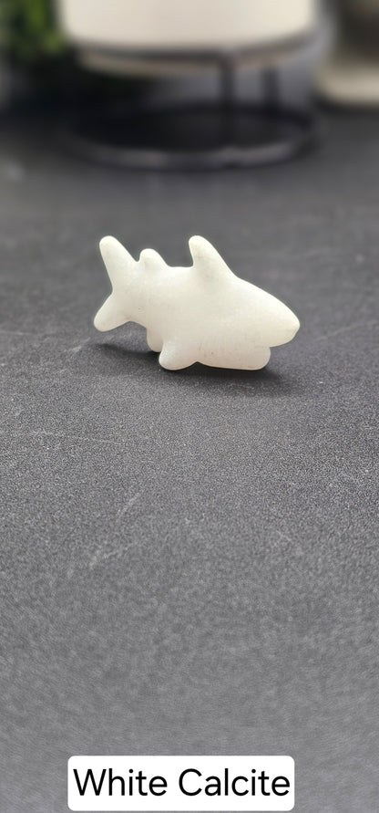 Small Shark