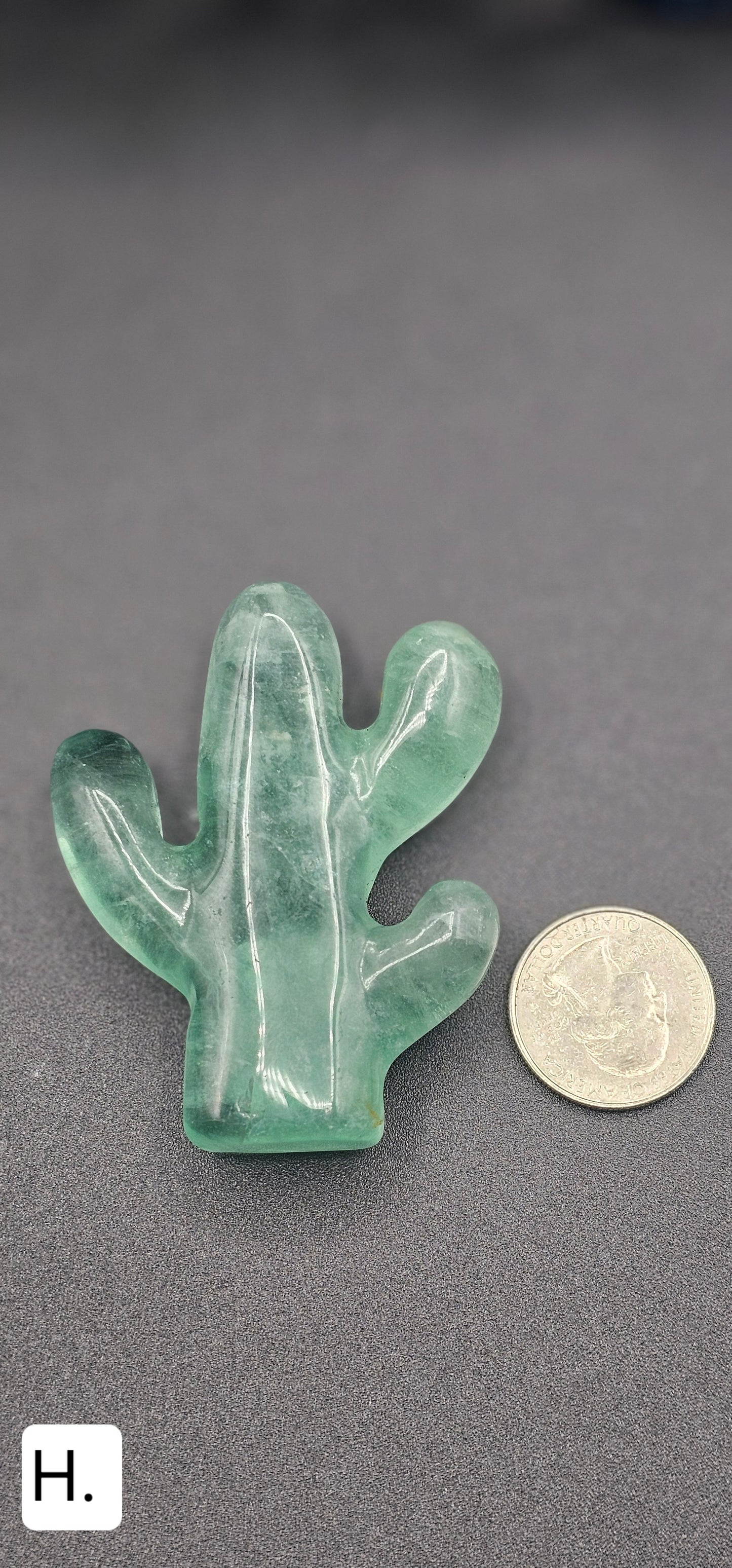 Beautiful Fluorite Saguaro Cactus
