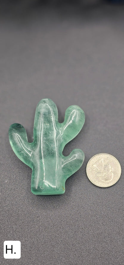 Beautiful Fluorite Saguaro Cactus