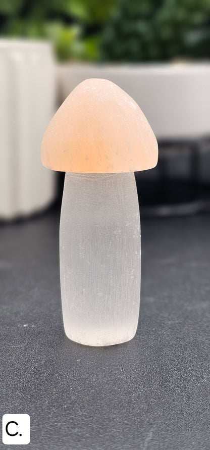 Selenite Mushroom