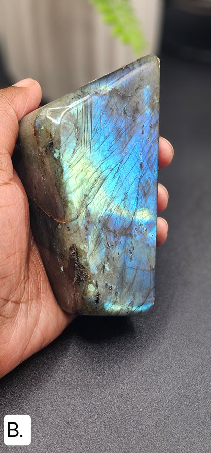 Polished Labradorite Free Form